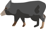 イノブタ